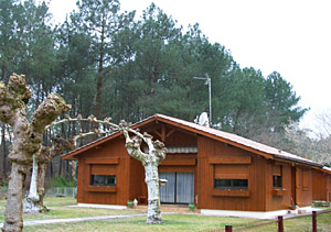 Maison en pin maritime à Pontenx-les-Forges